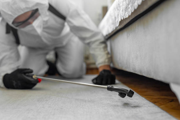 Professional Bed Bug Control technician working in Pinetops, NC